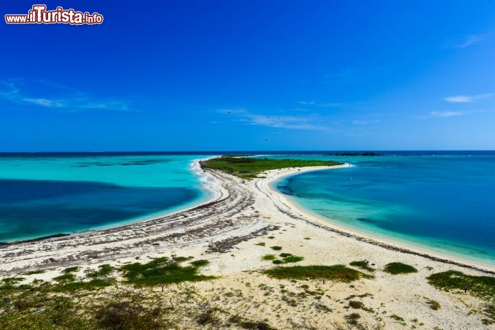 Immagine Spiaggia a Dry Tortugas, Key West - A circa 70 miglia ovest di Key West si trovano il suggestivo parco nazionale Dry Tortugas e la fortezza costiera Jefferson raggiungibili solo a bordo di barche private, veloci ferry e piccoli aeroplani. Spiagge dalla sabbia bianca finissima, impreziosite da una ricca vegetazione rigogliosa, sono circondate dalle acque limpide e cristalline dell'Oceano Atlantico © Felix Lipov / Shutterstock.com