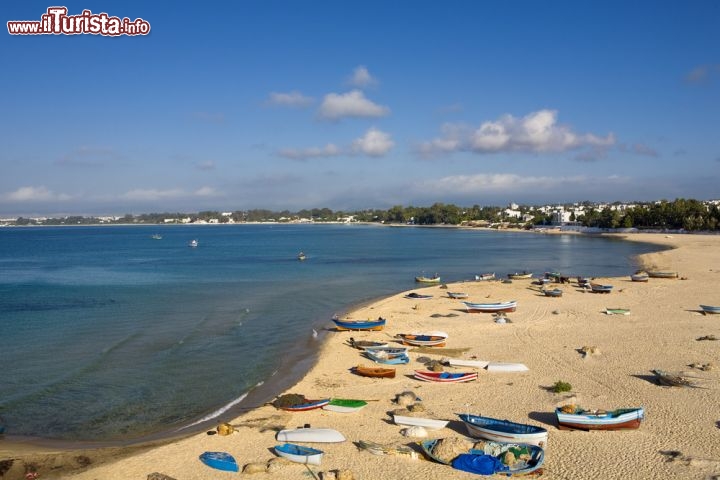 Immagine La grande spiaggia di Hammamet in Tunisia: la sua marina, chiamata Yasmine Hammamet si affaccia sul Mar Mediterraneo  con un lungo nastro di sabbie dorate. La spiaggia però tende a rastremarsi e diventare rocciosa in corrispondenza della medina, che è circondata da una possente cinta muraria, fin sul mare - © WitR / Shutterstock.com