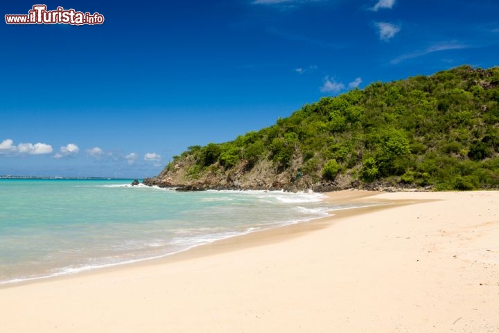 Immagine Spiaggia di Happy Bay a Sint Maarten, la parte olandesa dell'isola delle Piccole Antille - © Steve Heap / Shutterstock.com