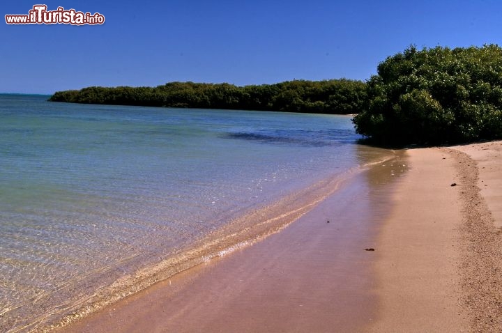 Immagine Spiaggia Mangrove bay Cape Range National Park Exmouth Australia