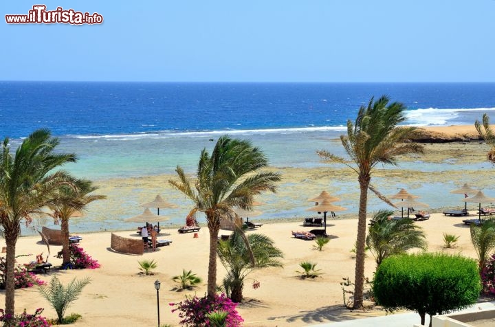 Immagine La Spiaggia di Marsa Alam in Egitto. La costa orientale dell' Africa, lungo il Mar Rosso è bordata dalla barriera corallina. Si nota il blu delle acque più profonde all'esterno della laguna e del bordo del reef - © maudanros / Shutterstock.com