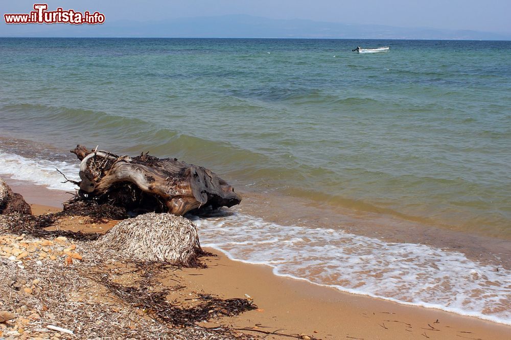 Immagine La Spiaggia di Nea Potidea sulla Penisola Calcidica, vicino a Kassandra in Grecia