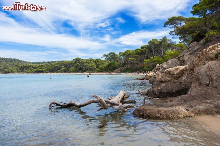 Immagine Notre Dame plage, la spiaggia selvaggia delle Isole Hyeres si trova a Porquerolles, nel sud della Francia - © Marco Saracco / shutterstock.com