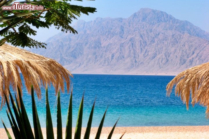Immagine Spiaggia di Nuweiba, siamo nel Golfo di Aqaba, nela Mar Rosso, in Egitto lungo la penisola del Sinai - © Beneda Miroslav / Shutterstock.com