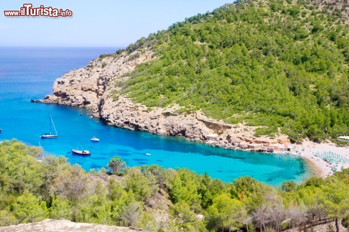 Immagine Spiaggia di Port de Benirras, una delle tante spettacolari cale di Ibiza, arcipelago delle isole Baleari in Spagna - © holbox / Shutterstock.com