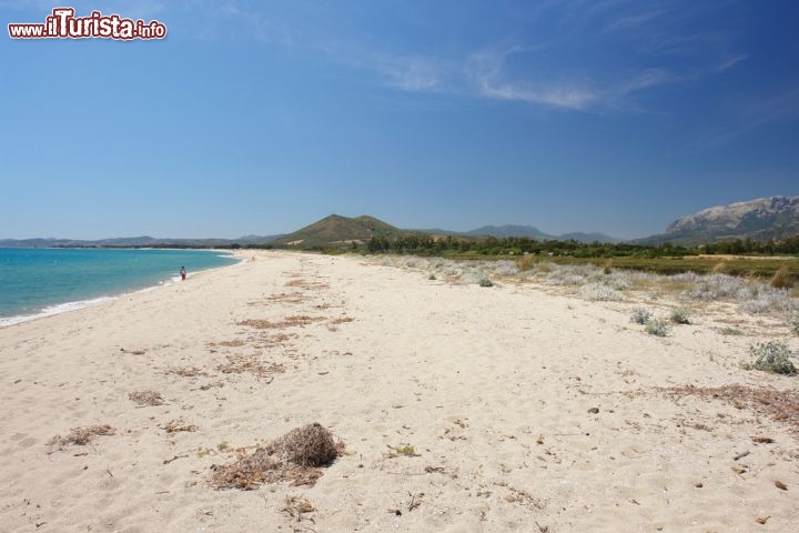 Immagine Spiaggia Posada a Budoni nella Sardegna di nord-est  - © Mildax / Shutterstock.com