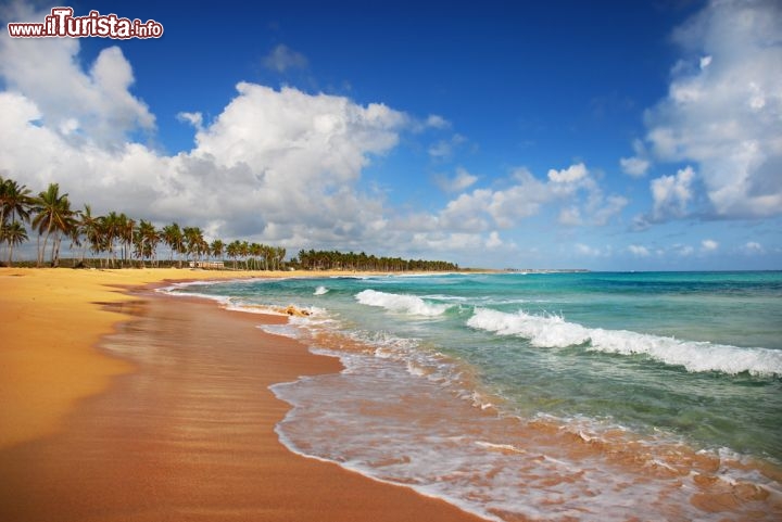 Immagine La spiaggia di Punta Cana è caratterizzata da magnifiche sabbie dorate, ed è bordata da un mare caldo, dalle tinte di colore turchese-smeraldo. E' considerata uno degli arenili più belli dei Caraibi, oltre che di tutta la Repubblica Dominicana - © Valio / Shutterstock.com