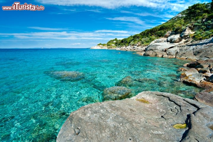 Immagine La spiaggia di Sant'Andrea è tra le più belle dell'Elba, l'isola dell'Arcipelago Toscano in provincia di Livorno. Si trova a Marciana Marina, piccola località lungo la costa settentrionale dell'isola, accanto alle rocce bianche di Capo Sant'Andrea. Un paradiso dal fondale sabbioso e l'acqua cristallina, facilmente accessibile a piedi e dotato di servizi per i turisti - © Luciano Mortula / Shutterstock.com