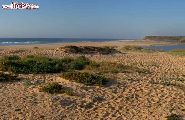 Immagine Spiaggia di Santo André a Santiago do Cacem, Portogallo. Da una parte il mare, dall'altra la laguna: è l'incredibile paesaggio offerto dalla Riserva Naturale dei laghi di Santo André e Sancha, una delle zone lagunari più grandi dell'Alentejo  - © Armando Frazao / Shutterstock.com