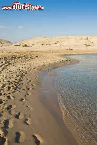 Immagine Una spiaggia del Sinai: si trova a Ras Mohammed, la pensiola che si protende nel Mar Rosso, vicino a Sharm el Sheik in Egitto - © Anna segeren / Shutterstock.com