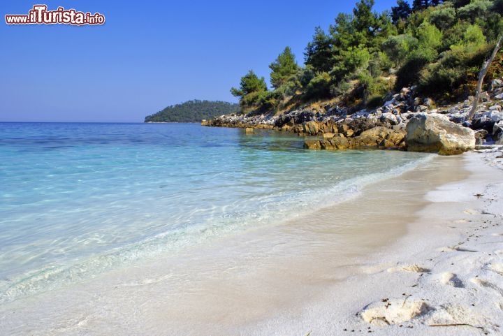 Immagine Spiaggia bianca e acque turchesi alle Sporadi, più esattamente sull'Isola di Skopelos in Grecia - © Yiannis Papadimitriou / Shutterstock.com