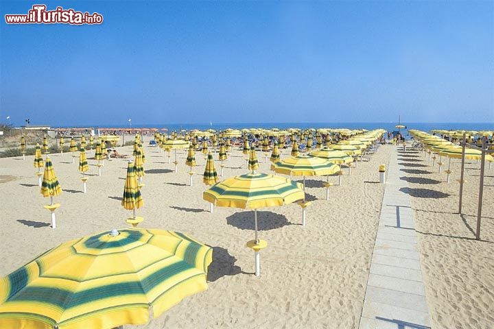 Immagine La Spiaggia di  Zadina Pineta in corrispondenza al Cesenatico Camping Village, riviera romagnola - © ferrucciofabbri / Cesenatico Camping Village