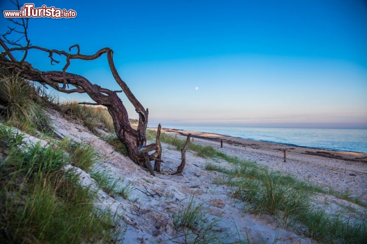 Immagine Spiaggia a Graal Muritz  (Germania) poco prima del tramonto - © Axel Lauer / Shutterstock.com