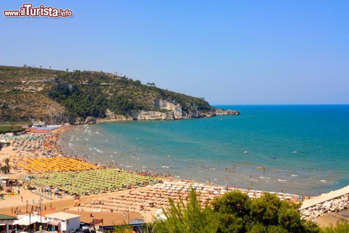 Immagine La grande spiaggia di Peschici fotografata in alta stagione. La baia si trova lungo la costa nord del Gargano, appena ad occidente di questo borgo della Puglia - © Valeria73 / Shutterstock.com