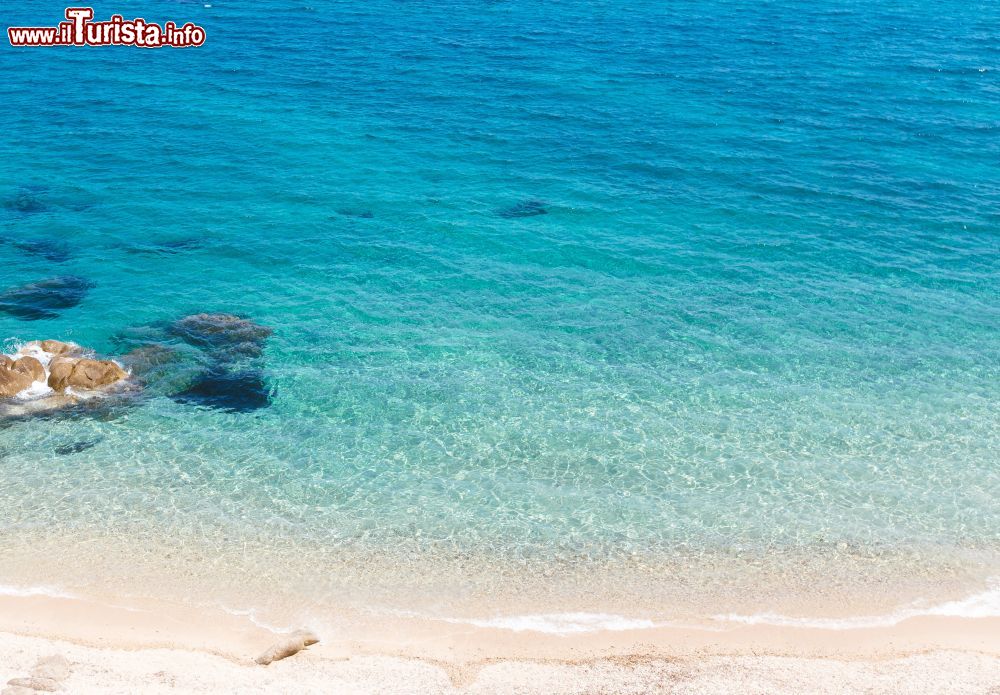 Immagine Spiaggia bianca vicino a Sithonia sulla Calcidica in Grecia