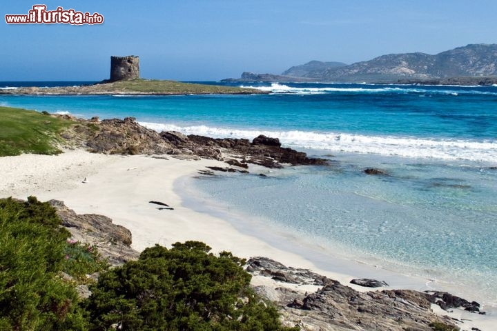 Immagine La parte più occidentale della spiaggia bianca di Stintino. E' chiamata la spiaggia della pelosa per la presenza dell'omonima torre rinascimentale, posta a difesa della costa e del versante sud dell'Isola dell'Asinara, che sgorgente in fondo a destra  - © The Factory / Shutterstock.com