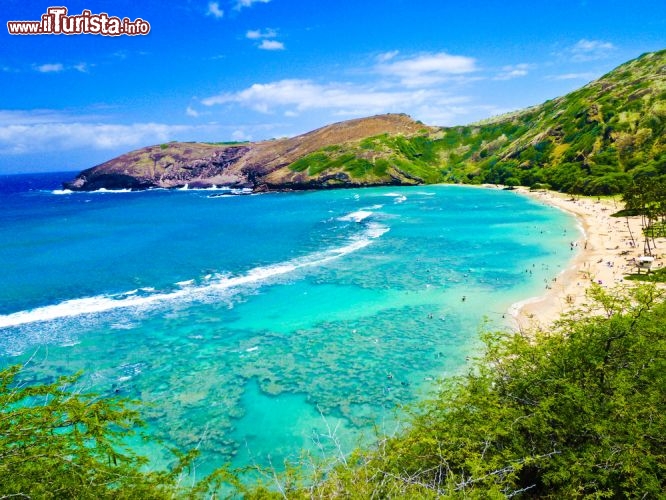 Immagine Spiaggia con barriera corallina alle Hawaii. Questo è uno dei siti ideali per compiere dello snorleling sull'isola di Oahu la terza per dimensioni delle isole Hawaii - © Lorcel / Shutterstock.com