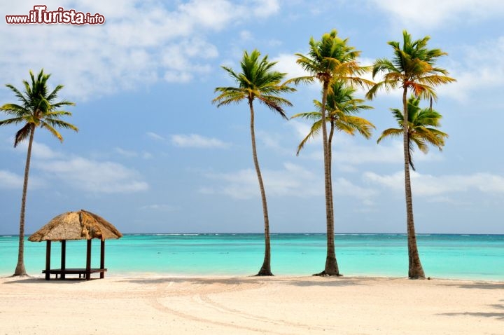 Immagine Spiaggia con palme e mare turchese a Punta Cana, Repubblica Dominicana - © Binu Mathew / Shutterstock.com