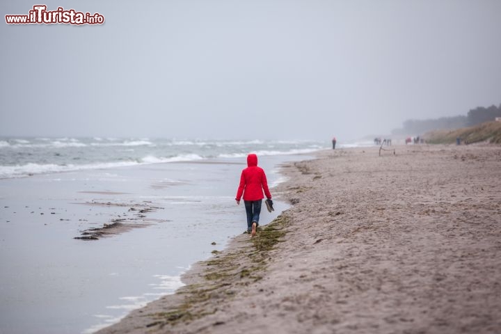 Immagine Spiaggia della costa del Meclemburgo-Pomerania nel tardo autunno. Ci troviamo nella zona di Graal Muritz, nel nord della Germania - © Axel Lauer / Shutterstock.com