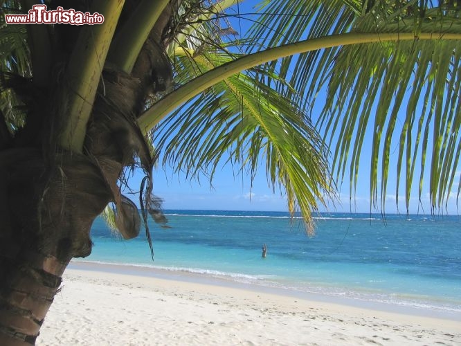 Immagine Spiaggia da favola sull'isola di Nattes (Île aux Nattes, o Nosy Nato), che si trova sotto a Nosy Boraha, anche nota con il nome francese di Ile Sainte Marie, nel nord del Madagascar - © POZZO DI BORGO Thomas / Shutterstock.com