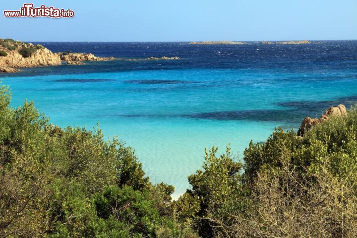 Immagine Spiaggia del Principe, la magica baia si trova vicino a Cala di Volpe in Costa Smeralda, nel nord-est della Sardegna - © Ana del Castillo / Shutterstock.com