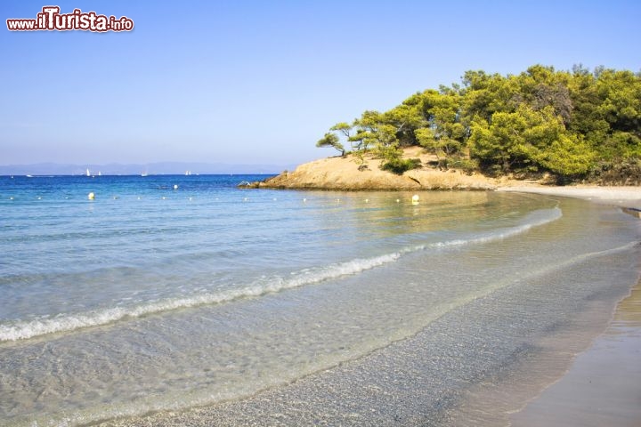 Immagine Spiaggia deserta e macchia mediterranea della Francia: siamo sull'Isola di Porquerelles - © Giancarlo Liguori / shutterstock.com