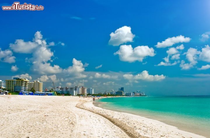 Immagine Spiaggia deserta, Miami Beach: le spiagge di Miami Beach sono talmente grandi che è possibile ritagliarsi il proprio spazio di tranquillità anche in questa che è una delle località turistiche più famose della Florida  -  Foto © S.Borisov / Shutterstock.com