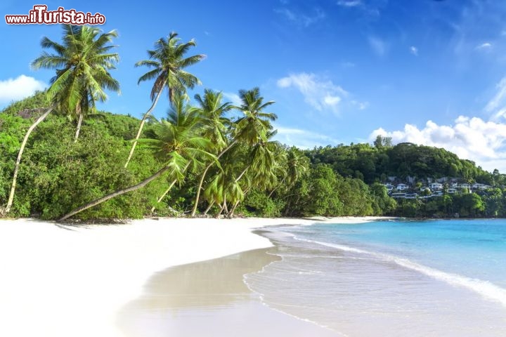 Immagine Spiaggia di Baie Lazare: ci troviamo sulla grande isola di Mahe, dove si trova la capitale delle Seychelles, Victoria - © Chaikovskiy Igor / Shutterstock.com