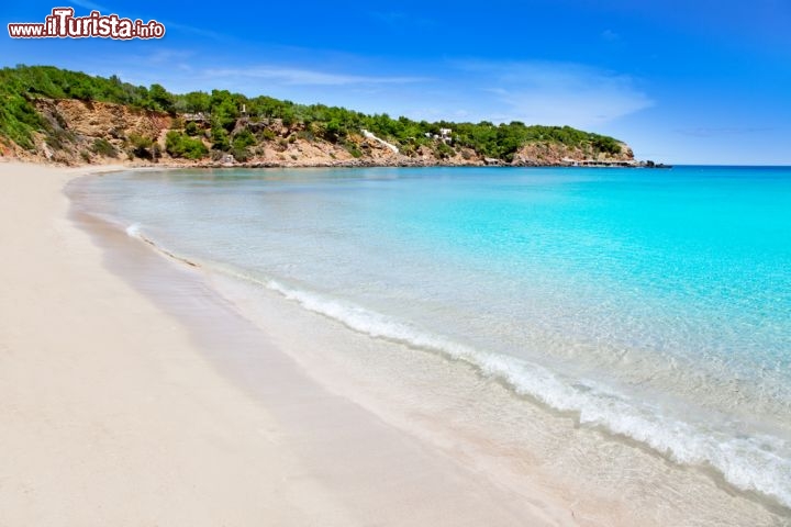 Immagine La spiaggia ed il mare cristallino di Cala Llenya. Ibiza è famosa per la sua sfrenata vita notturna, ma anche per il mare molto lipido e le sue playa dove rilassarsi al sole di Spagna. Ci troviamo nell'arcipelago delle isole Baleari - © holbox / Shutterstock.com