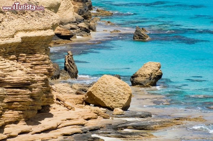 Immagine La bella spiaggia di Agiba a Marsa Matruh Egitto, Mar mediterraneo. E' un odei luoghi migliori per lo snorkeling nella costa settentrionale dell'Egitto - © TWaltraud Oe / Shutterstock.com