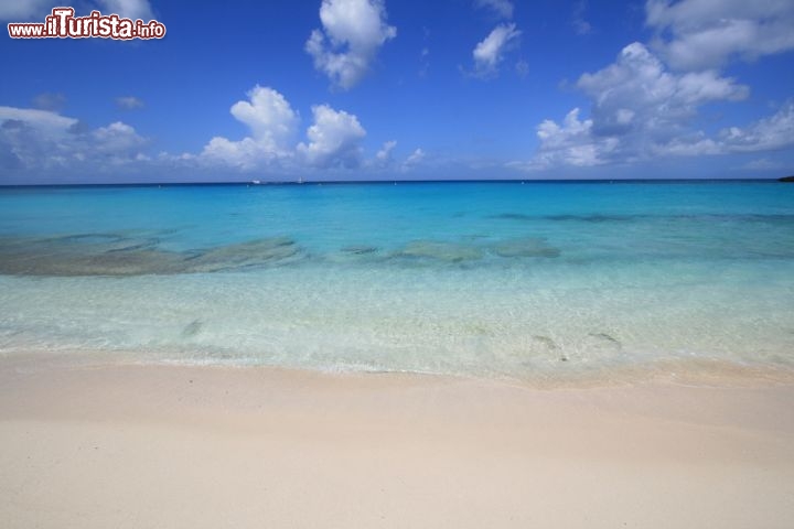 Immagine La bella spiaggia di Maho Bay a Sint Maarten. Siamo nella metà meridionale di Saint Martin, l'isola delle Piccole Antille che dalla metà del 17° secolo è divisa in due possidimenti, a nord i francesi ed a sud gli olandesi - © fwtw / Shutterstock.com