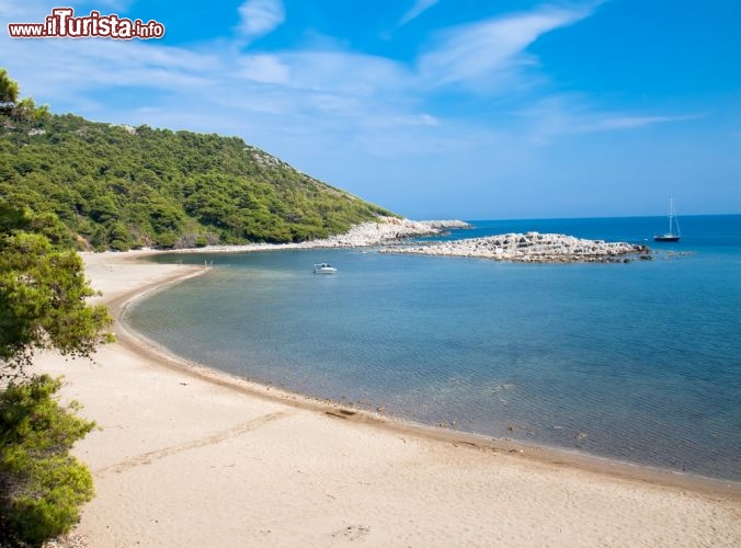 Immagine La magnifica spiaggia sabbiosa di Saplunara (baia di Turkovic) sull'isola di Mljet in, Dalmazia nel sud della Croazia - © Aleksandar Todorovic / Shutterstock.com