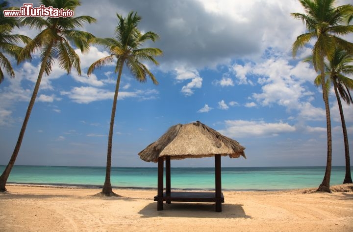 Immagine La spiaggia dorata della Playa Punta Cana: siamo nella costa sud-orientale della Repubblica Dominicana, una delle più spettacolari di tutti i caraibi - © piotreknik / Shutterstock.com