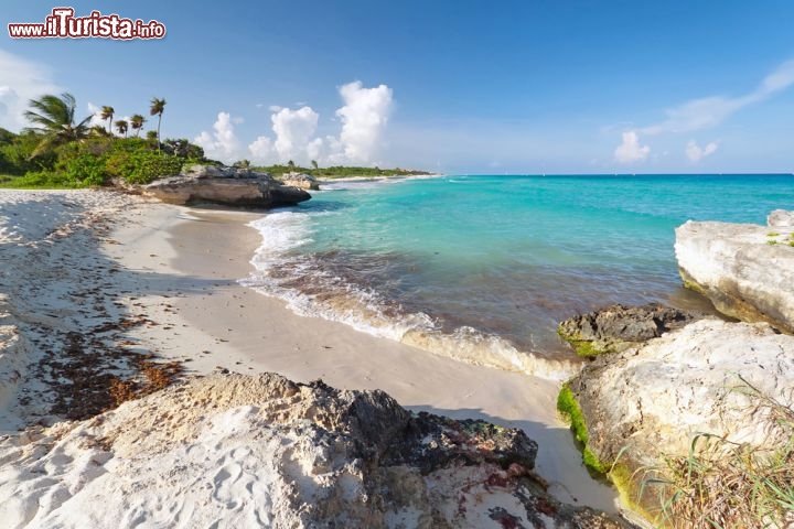 Immagine Spiaggia e rocce vicino a Playacar. Siamo a sud di Cancun e Playa del Carmen, nello stato del Quintana Roo, nell parte orientale della penisola dello Yucatan in Messico - © Patryk Kosmider
/ Shutterstock.com