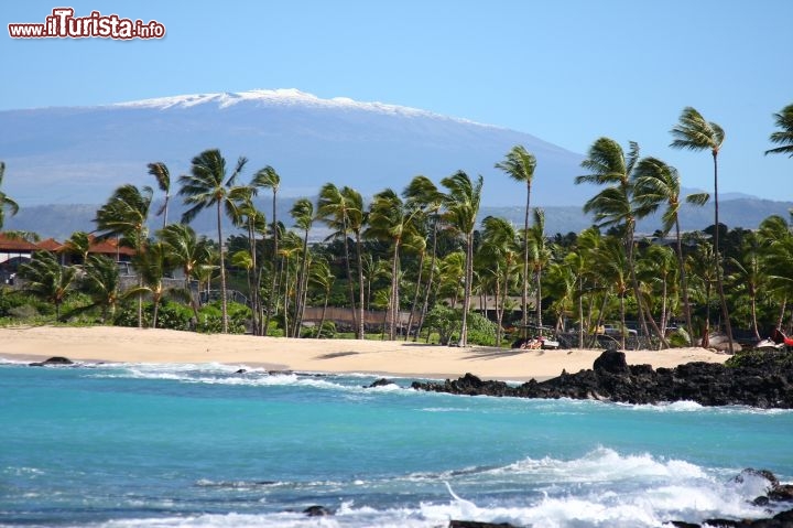 Immagine Sull'isola di Hawaii, nell'omonimo arcipelago dell'Oceano Pacifico, ci sono contrasti forti: alla spiaggia di sabbia bianca, lambita da acque cristalline e impreziosita dalle palme slanciate, fa da sfondo la sagoma innevata del vulcano Mauna Loa. Un vero gigante, considerando il volume di circa 75.000 km3 e l'altezza complessiva di oltre 9.000 m (compresa la base sommersa) - © Kirk lee Aeder / www.hvcb.org