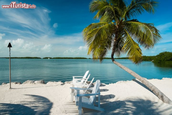 Immagine Spiaggia delle isole Keys, Florida - Sabbia bianca finissima e mare cristallino sono la perfetta cornice di questo suggestivo paradiso turistico nel sud della Florida dove si può scegliere fra divertimenti, attrattive e strutture ricettive all'avanguardia per tutti i gusti © Fotoluminate LLC / Shutterstock.com