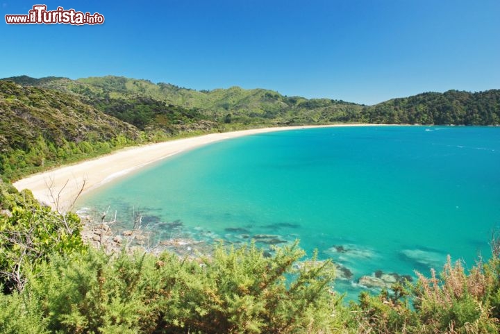 Immagine Spiaggia mozzafiato lungo la costa del Abel Tasman National Park in Nuova Zelanda - © Jiri Foltyn / Shutterstock.com