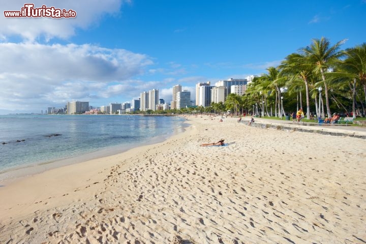 Immagine Spiaggia nel centro di Honolulu. Waikiki beach è una delle spiagge più famose delle Hawaii, molto amata fagli appssionari di surf, ma anche adatta al nuoto - © Dhoxax / Shutterstock.com