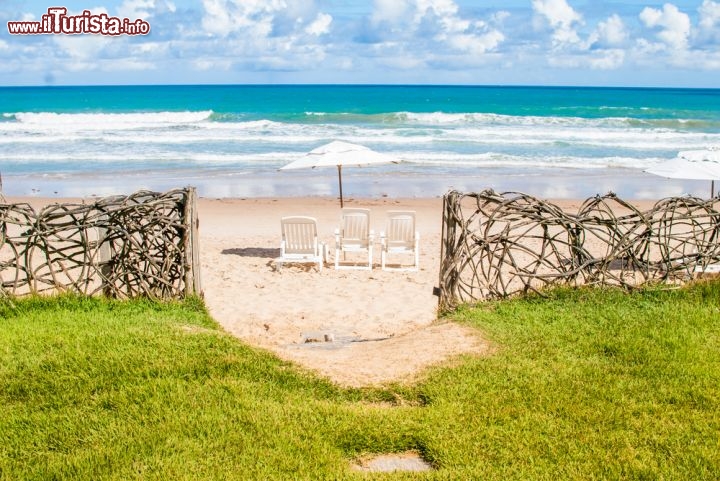 Immagine Spiaggia oceanica nei pressi di Recife, Stato di Pernambuco, Brasile - © Undivided / Shutterstock.com