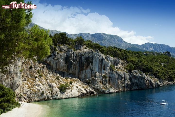 Immagine Spiaggia lungo la  riviera di Makarska. Ci troviamo in Dalmazia, lungo la costa adriatica della Croazia a sud di Spalato (Split). Questo tratto di litorale è caratterizzato dalla presenza di alte montagne tra cui spicca il massiccio del Biokovo. Si tratta di una massiccio calcareo, la cui cima Sveti Jure (vetta di San Giorgio) raggiunge 1762 metri sul livello del mare, a pochi chilometri dall'Adriatico, creando un micro clima particolare che ha reso Makarska famosa nel mondo, come località di villeggiatura - © efirm / Shutterstock.com