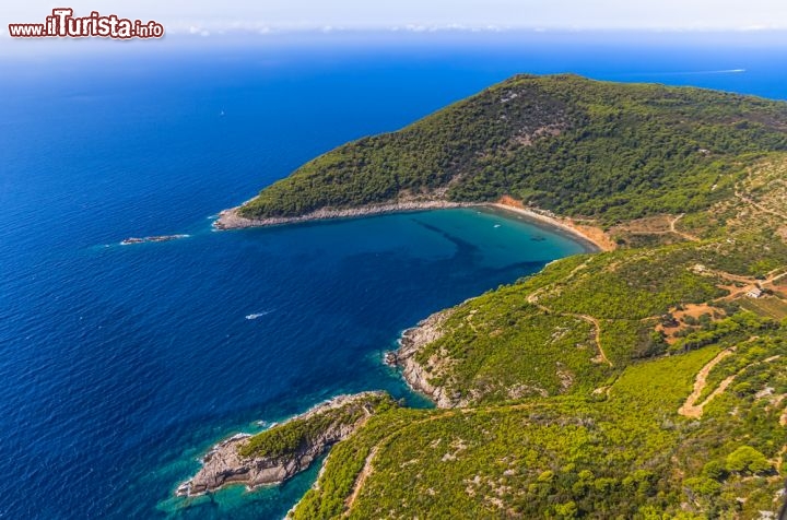 Immagine Una spiaggia sabbiosa a Lopud in Croazia. L'isola fa parte del gruppo delle Elafiti e si trova molto vicina a Dubrovnik, l'antica Ragusa della costa della Dalmazia - © OPIS Zagreb / Shutterstock.com