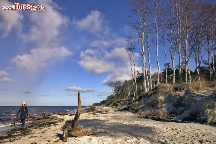 Immagine Una spiaggia selvaggia nei pressi di Graal Muritz, nota località balneare della Germania - © Frank Wasserfuehrer / Shutterstock.com