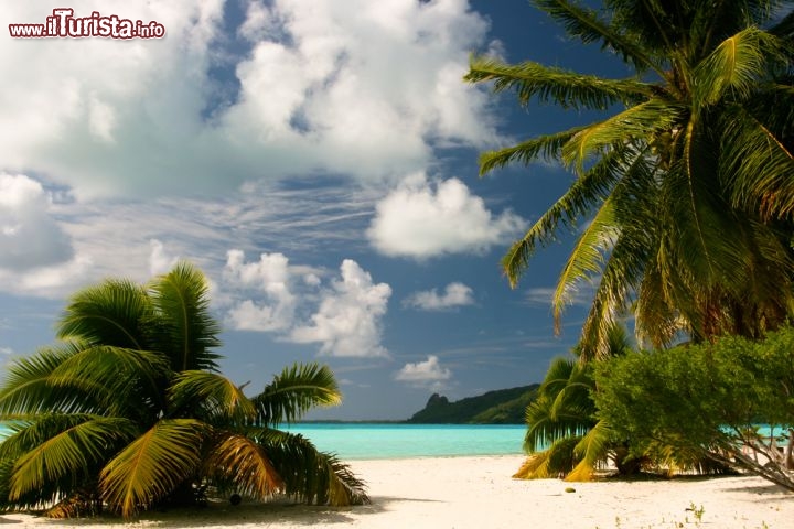 Immagine L'Isola di Maupiti fa parte della Polinesia Francese, per la precisione del gruppo delle Isole Sottovento, nell'Oceano Pacifico. Spiagge tropicali di sabbia bianca, mare cristallino di un azzurro irreale e palme rigogliose lungo la costa sono i tratti distintivi di questo paradiso in Terra - © Piotr Gatlik / Shutterstock.com