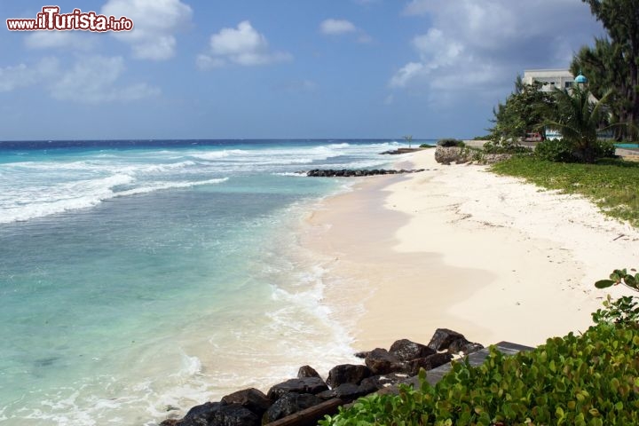 Immagine Splendida spiaggia tropicale vicino a Bridgetown, bagnata dal mare cristallino di Barbados, un vero e proprio paradiso per immersioni e battute di snorkeling  - © alfotokunst / Shutterstock.com