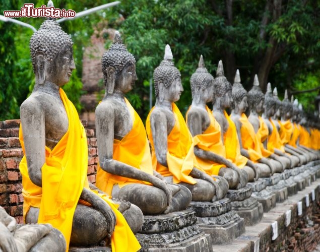Immagine Statueallineate in un tempio ad Ayutthaya - © Wuttichok Painichiwarapun / Shutterstock.com