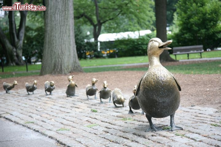 Immagine Ai Giardini Pubblici di Boston, Massachusetts, tra sentieri e aree verdi ci sono molte statue, tra cui una simpatica famiglia di papere di ottone - © aceshot1 / Shutterstock.com
