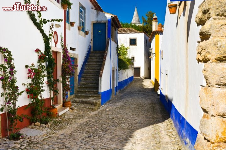 Immagine Strada del borgo di Obidos, Portogallo - Capire perchè la regina Isabella nel 1128 si innamorò di questa splendida località del Portogallo è piuttosto semplice: immersa nel verde, circondata da mura e con case basse impreziosite da finestre dipinte di ocra e blu. In questa immagine, un delizioso scorcio del centro storico del borgo medievale © gkuna / Shutterstock.com