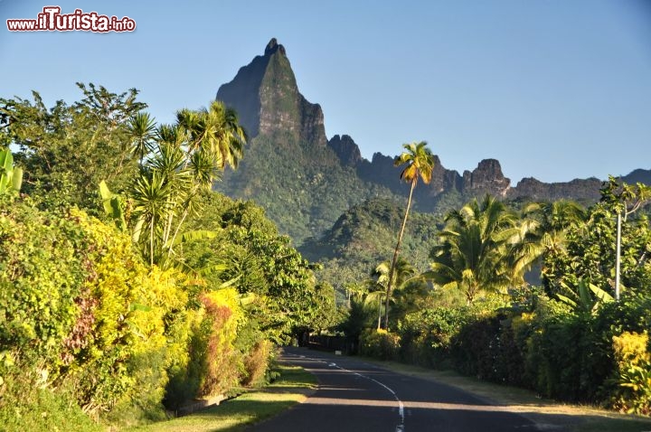 Immagine Strada lungo la costa nord di Moorea, in Polinesia francese