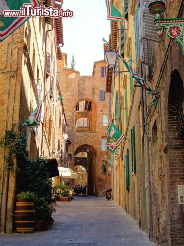 Immagine Il centro storico di Siena (Toscana) è un dedalo di stradine strette, dove si scoprono suggestivi passaggi ad arco, cortili segreti, balconi fiorati, scale e panni stesi ad asciugare. Passeggiando in città si respira un po' di medioevo, non solo nelle piazze famose e al cospetto dei palazzi più pregevoli, ma anche nei viottoli e tra le semplici abitazioni - © JeniFoto / Shutterstock.com