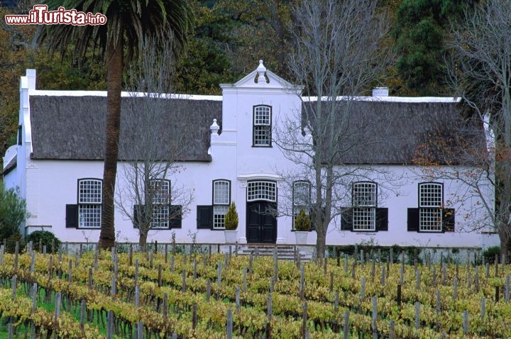 Immagine Vigneti in Sudafrica - Fonte South African Tourism